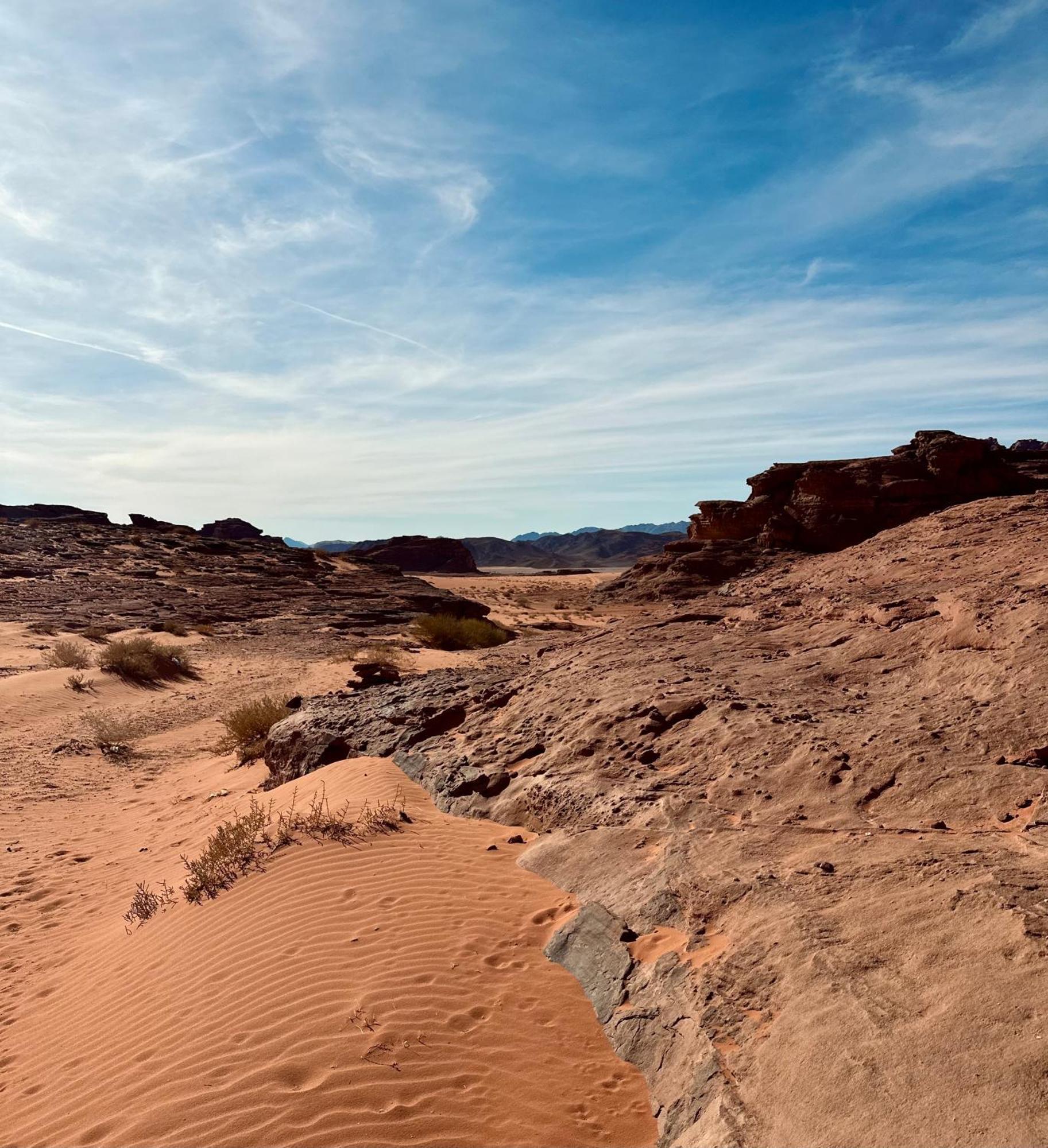 Salameh'S Bedouin Camp Hotel Wadi Rum Ngoại thất bức ảnh